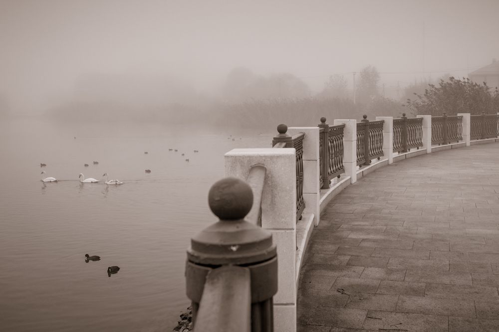 Туманное утро