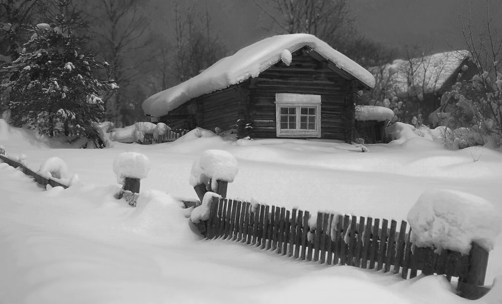 Photograph by Дмитрий Петухов