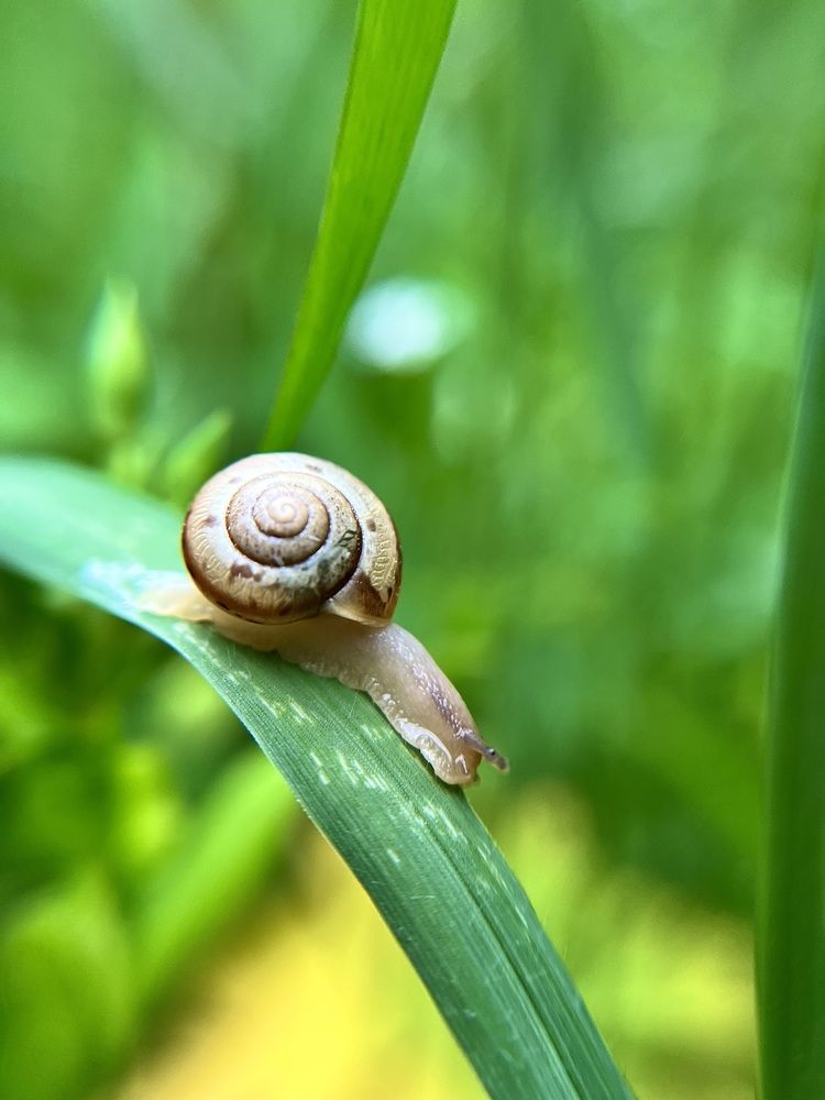 Photograph by Yulia Zhilinskaya