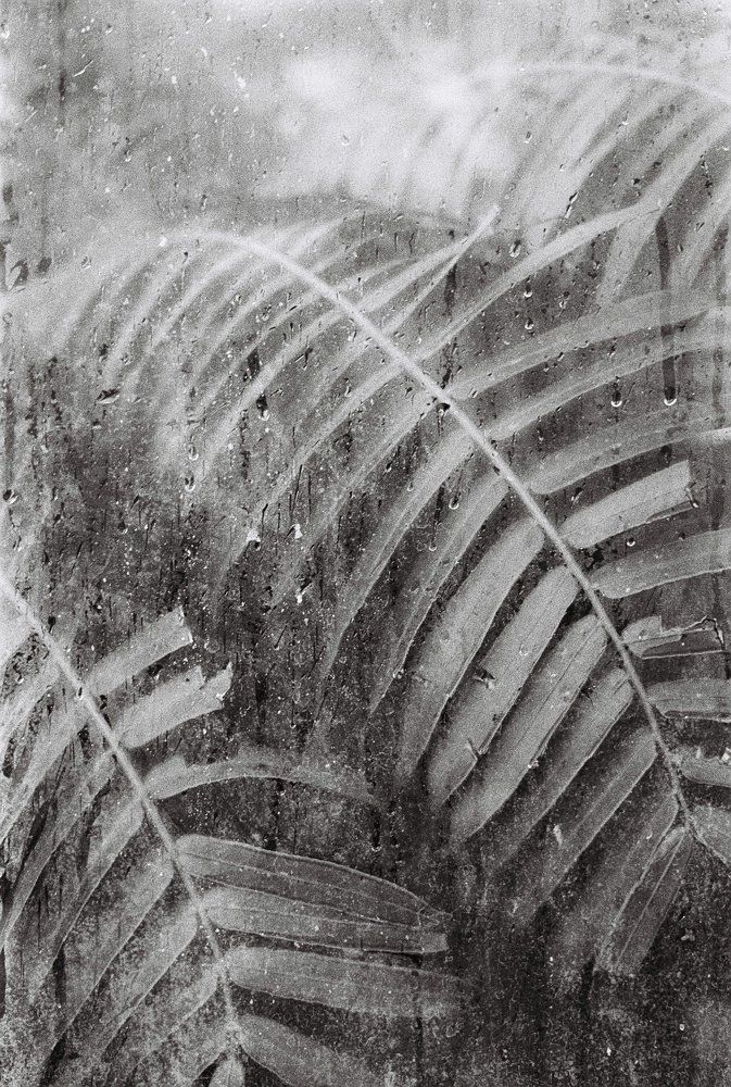 aesthetics of nature