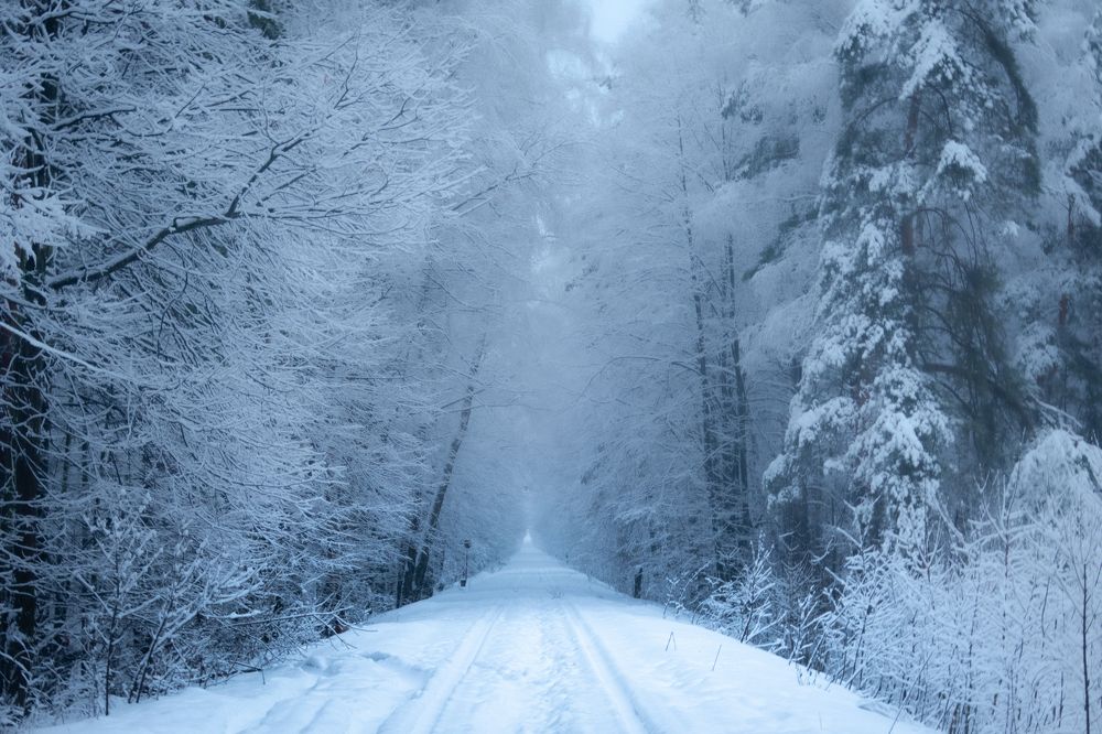 Photograph by Игорь Криулин