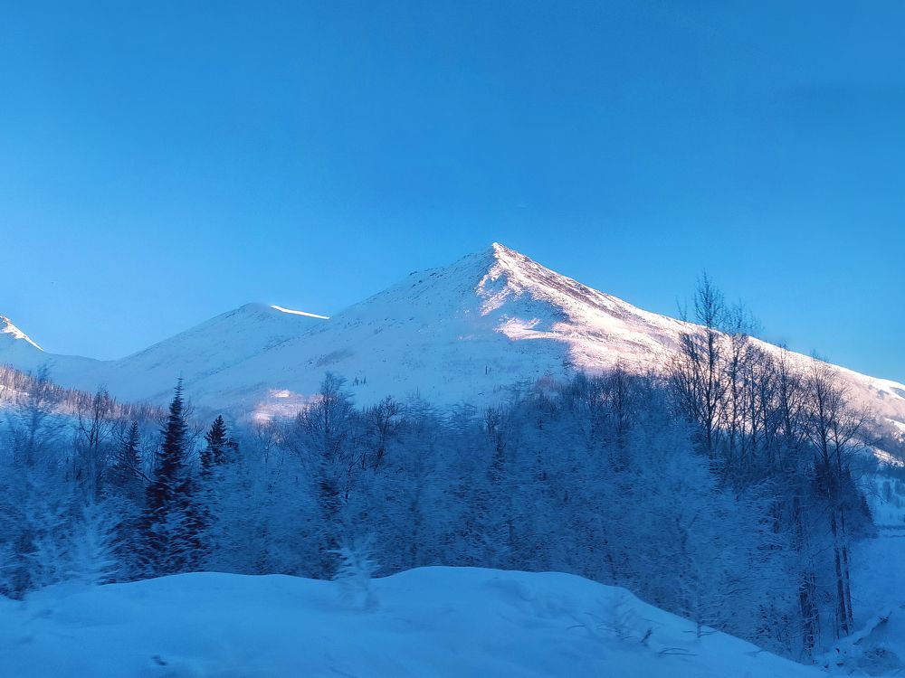 Photograph by Елена Шишкина