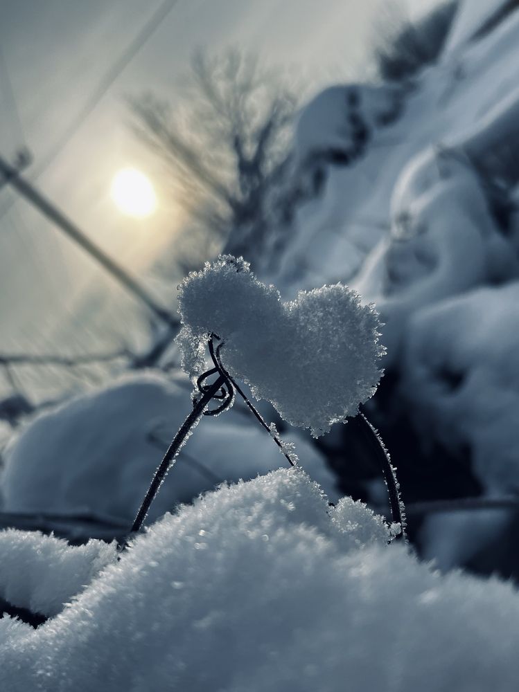 Photograph by Shu r1ck