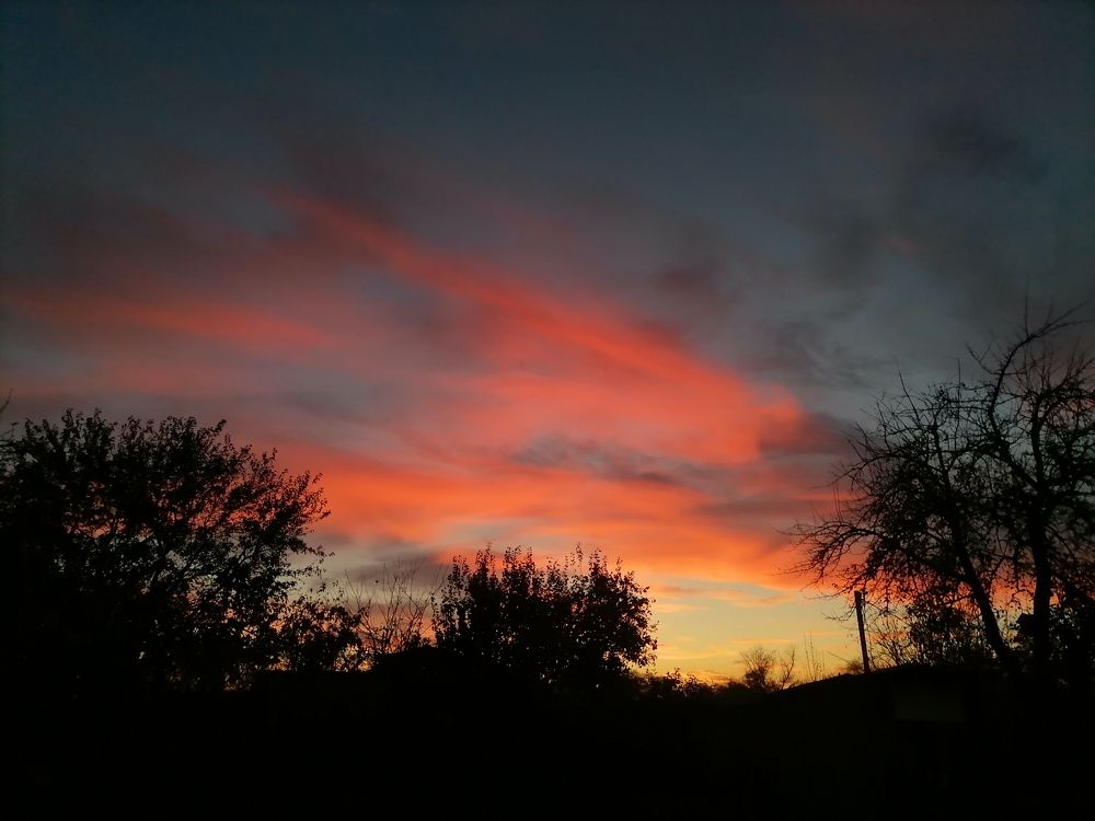 Фотография автора Елена Бракоренко