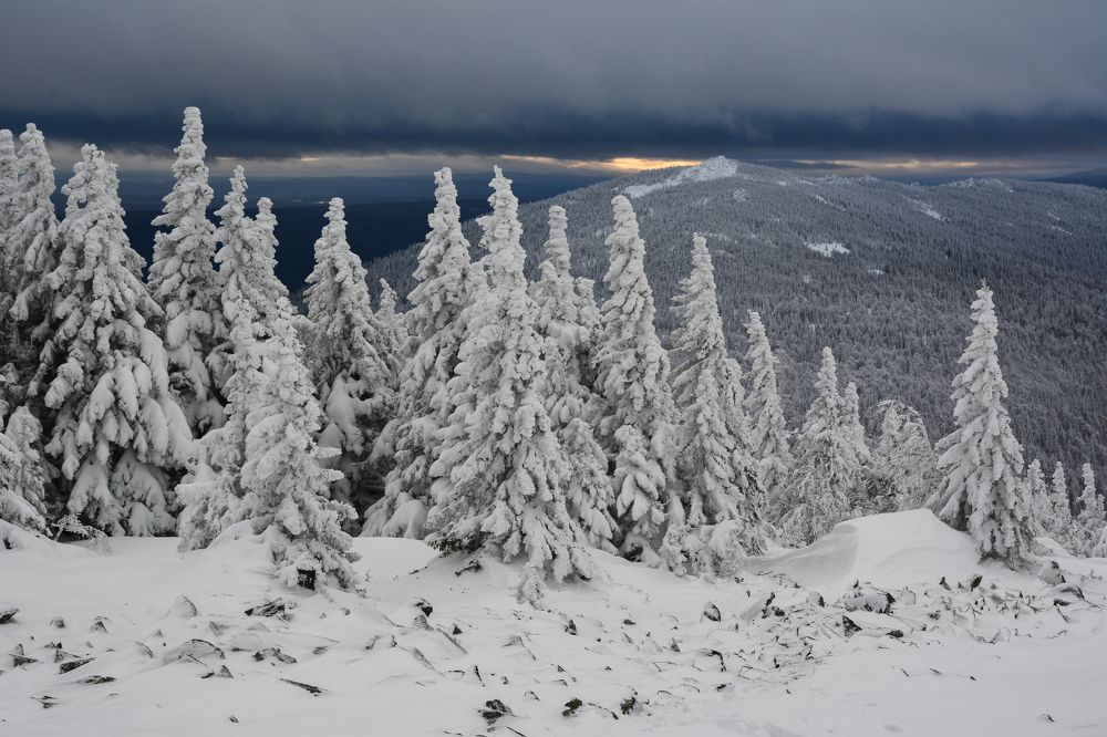 Photograph by Ольга Колосова