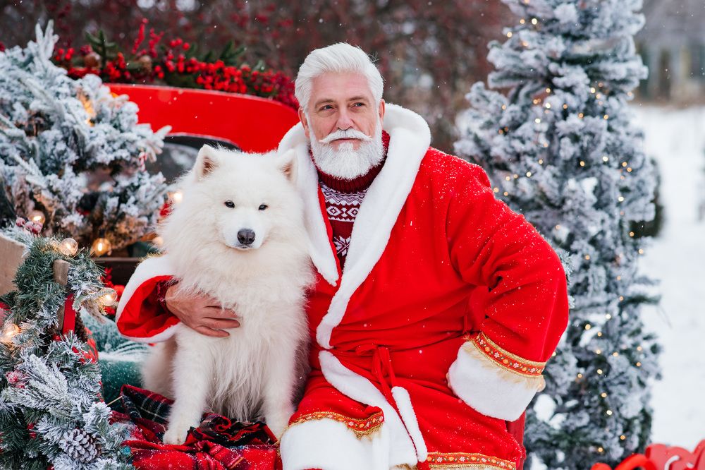 Photograph by Юлия Сорокина