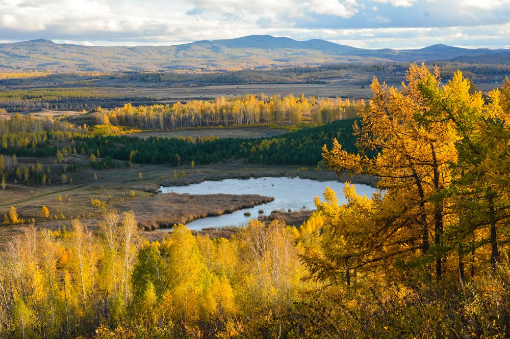 Осенний Ворожеич