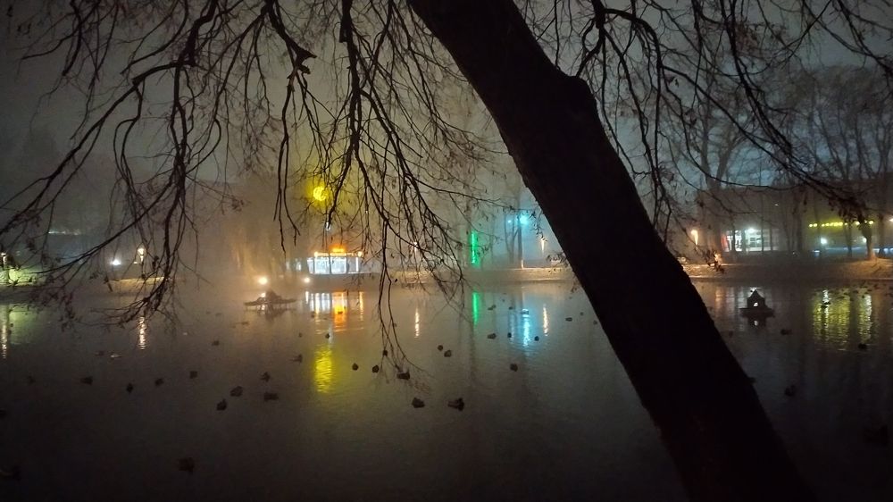 Осенний туман1