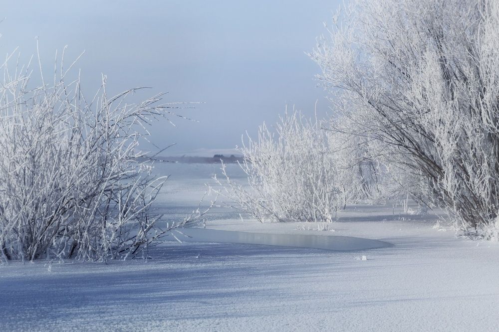 Photograph by Светлана Максимова