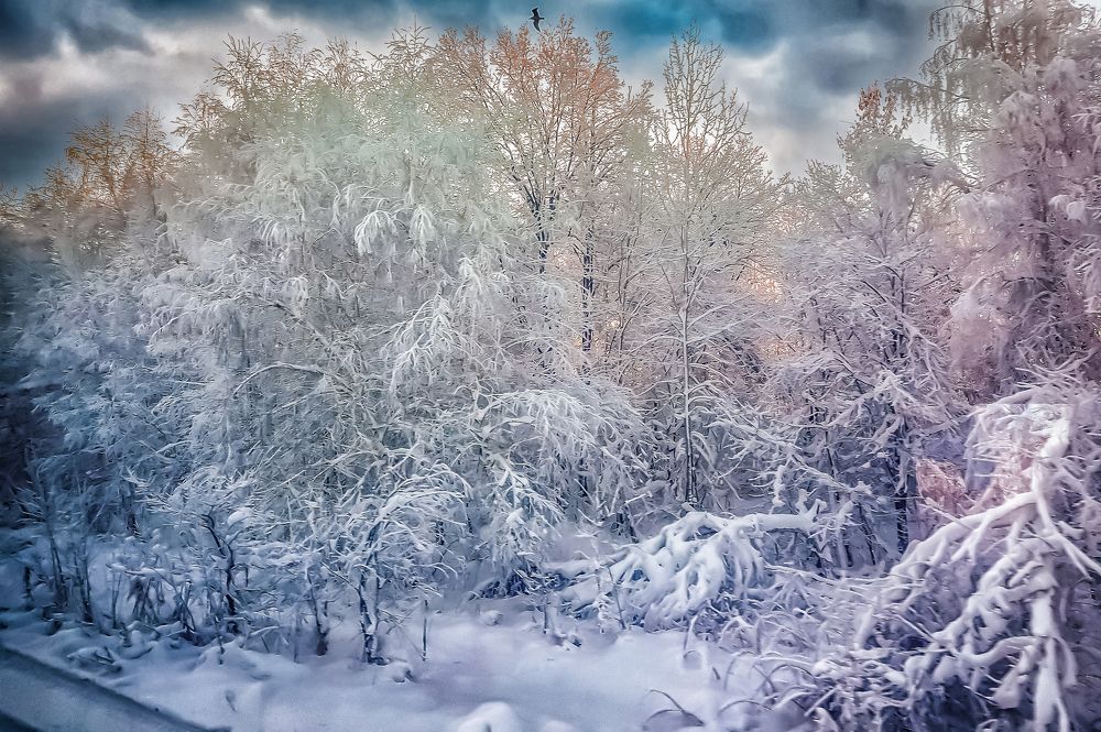 Photograph by arkadii Ануфриев