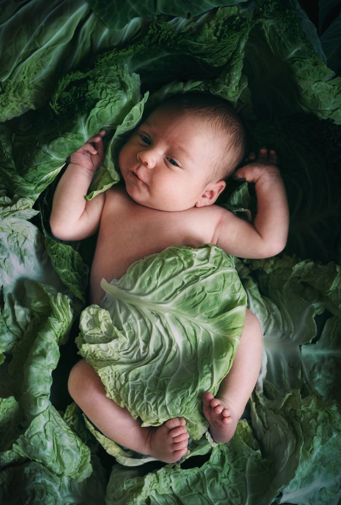 Photograph by Екатерина Карпова