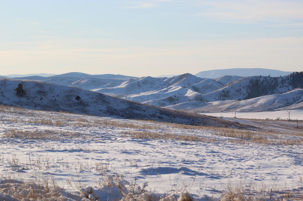 Photograph by Светлана Максимова