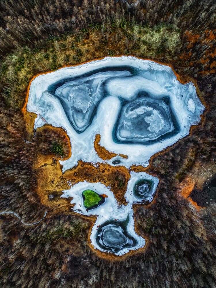 Photograph by Полякова Наталия