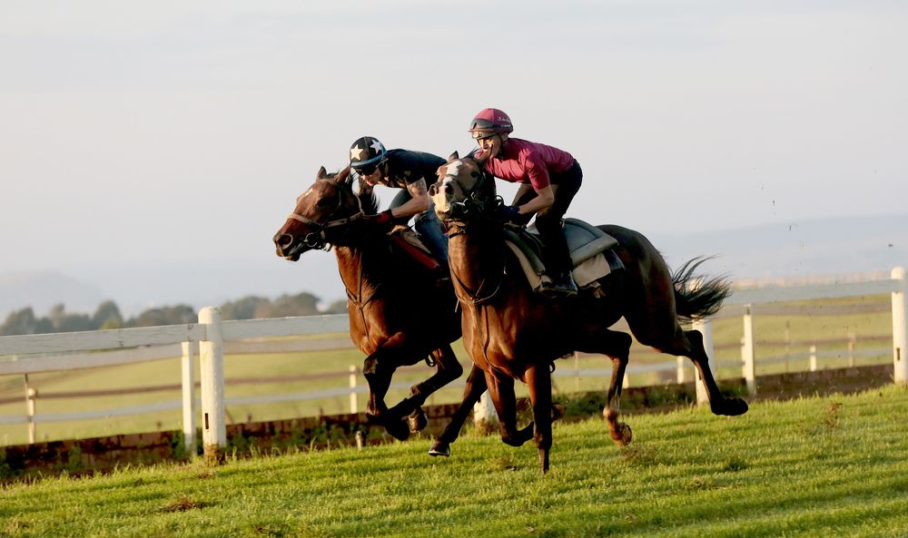 Photograph by Theo Landman