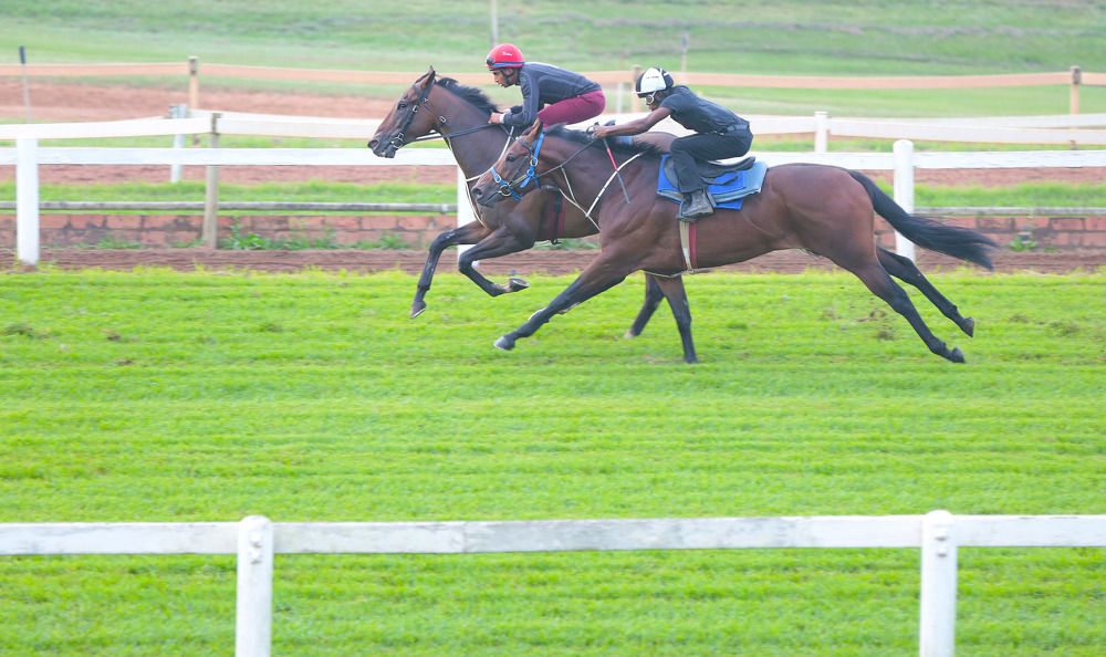 Photograph by Theo Landman