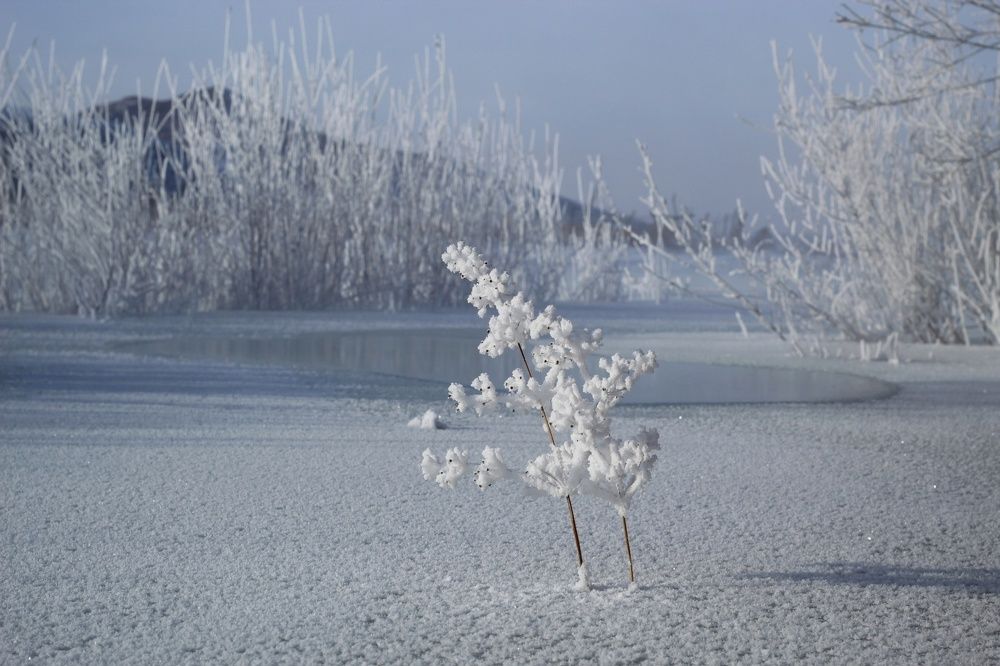 Photograph by Светлана Максимова