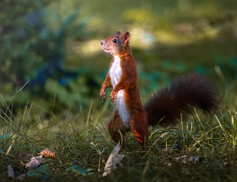 Photograph by Zavaydin Zavaydinov