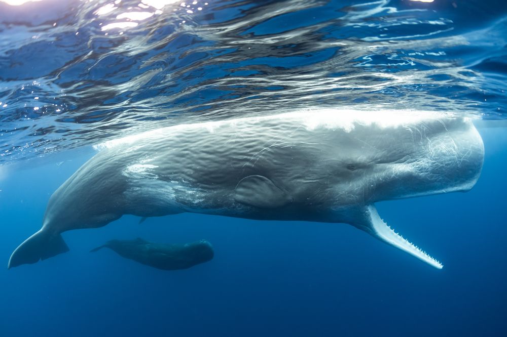 Photograph by Valentina Cucchiara