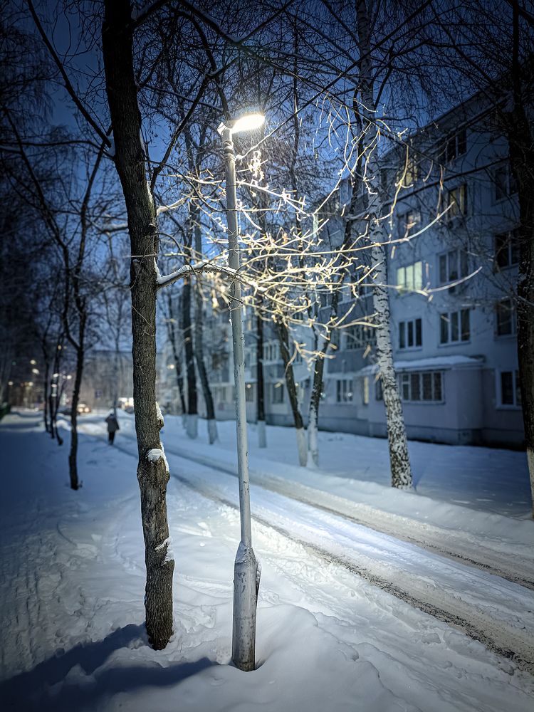 Photograph by Олега Тор