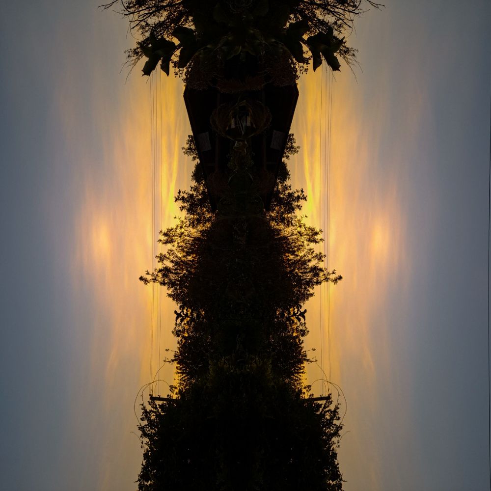 Photograph by Ирина Дмитриенко