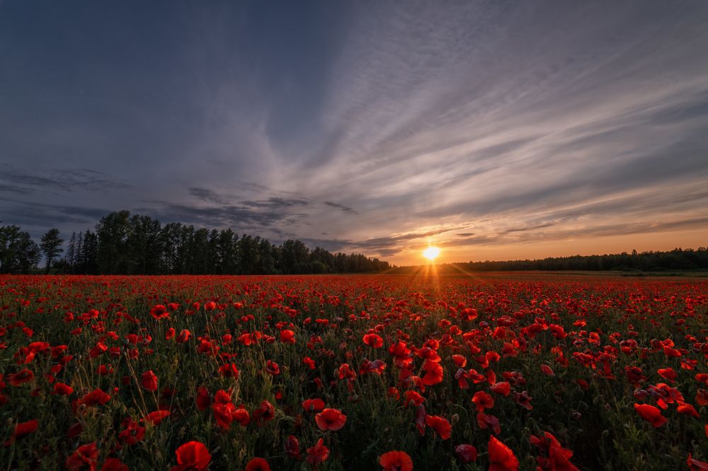 Photograph by Третьякова Анастасия