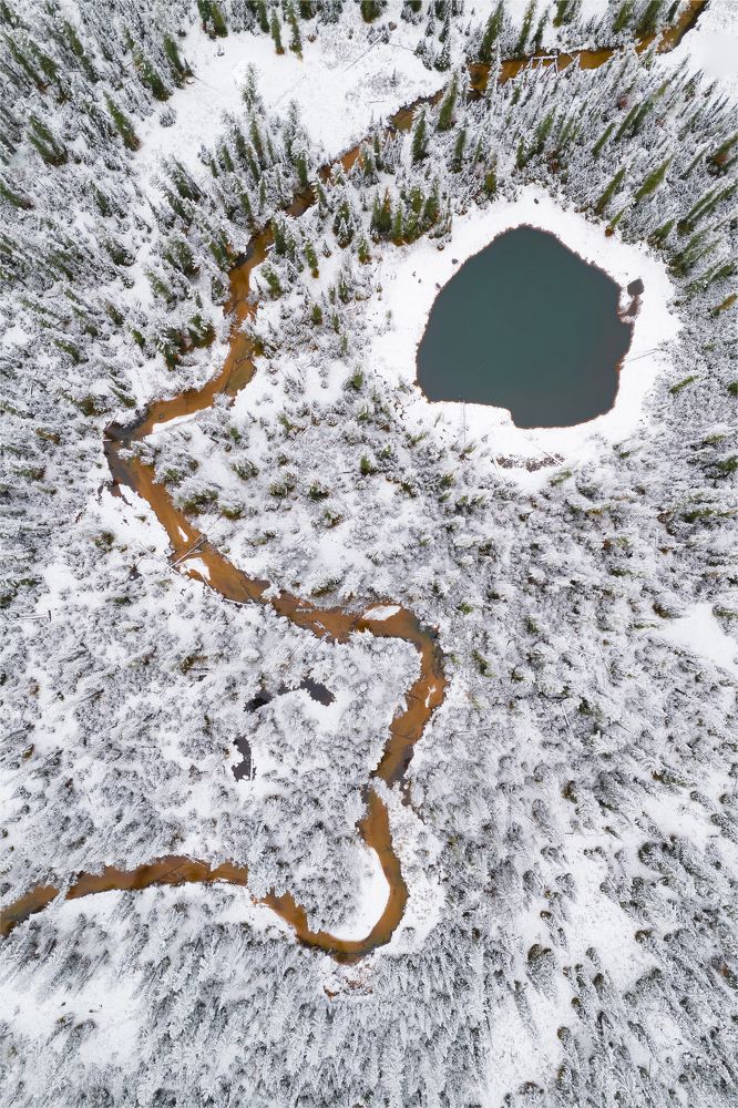 Photograph by Александр Нерозя