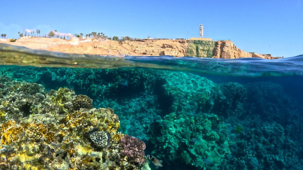 Photograph by Мария Берёзка