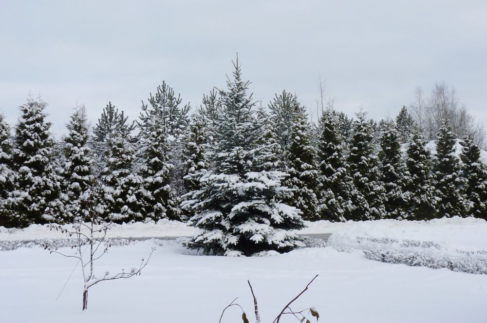 Photograph by Galina Leskova