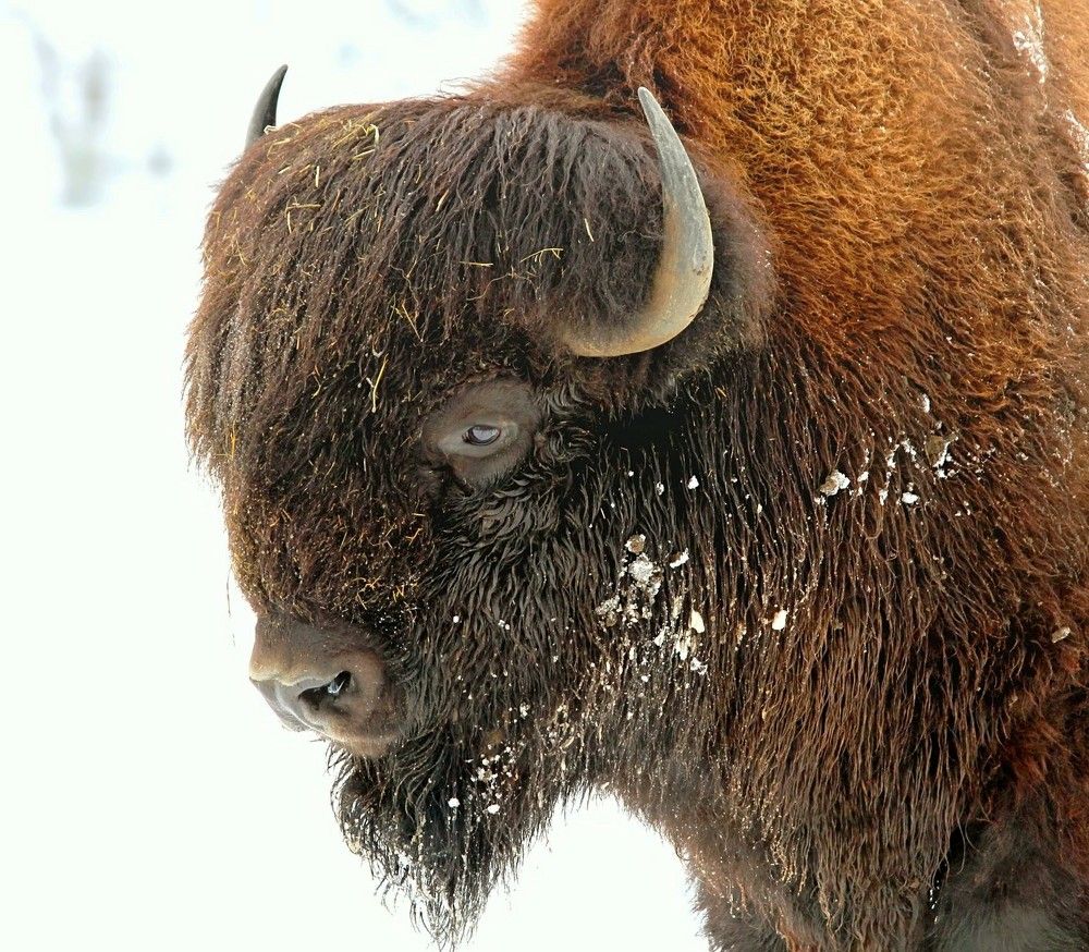 Photograph by Татьяна Слесарева