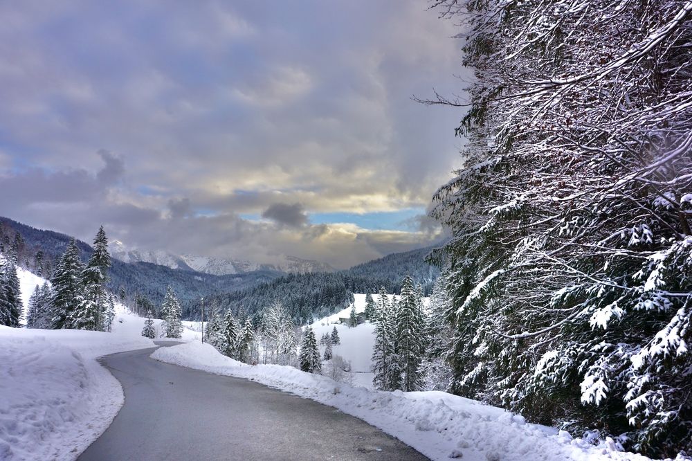 Фотография автора Liudmila Kiermeier