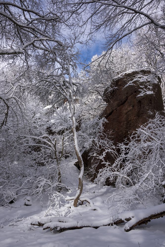 Photograph by Будаква Сергей
