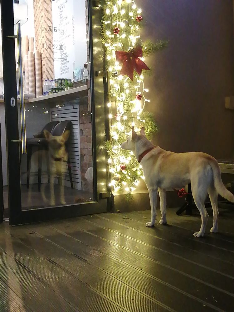 Photograph by Юля Хатыпова