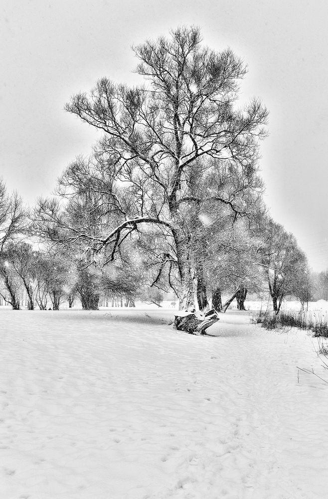 Photograph by Александр Смыков