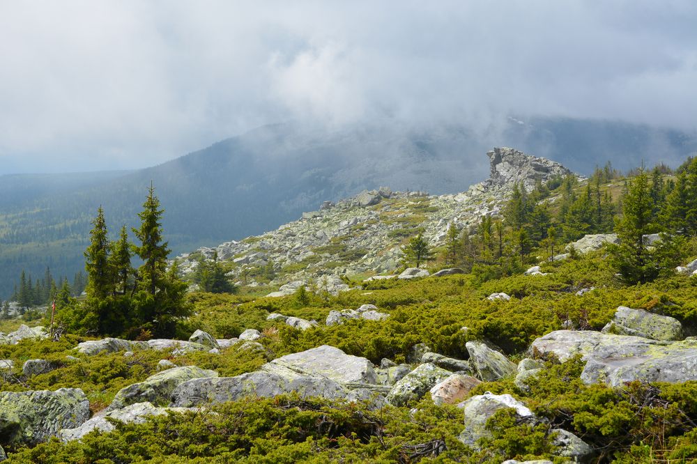 Photograph by Ольга Колосова