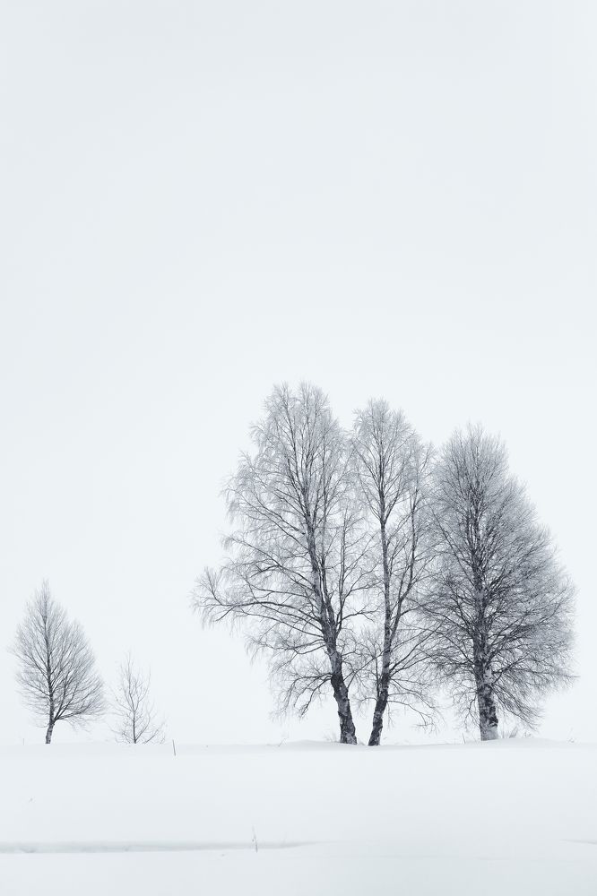 Фотография автора Martine BOUR