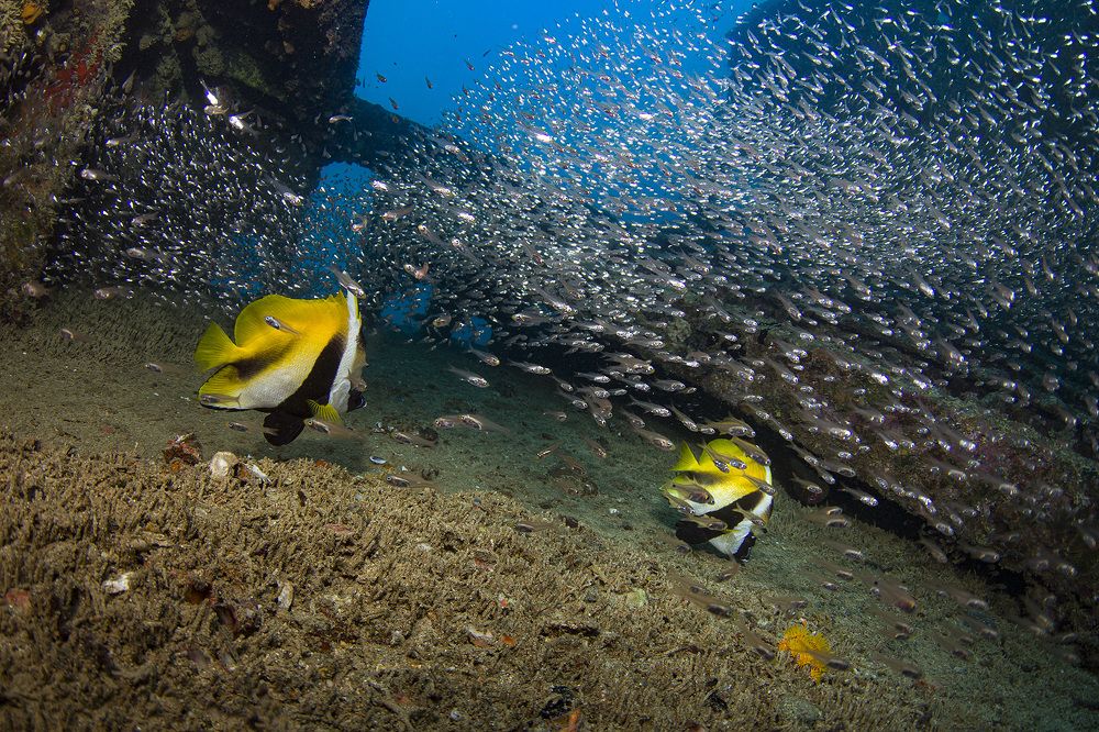 Всегда вместе