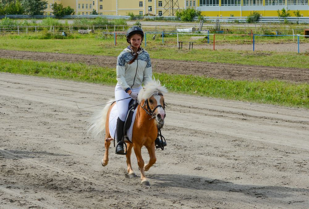 Photograph by Александр Аношкин