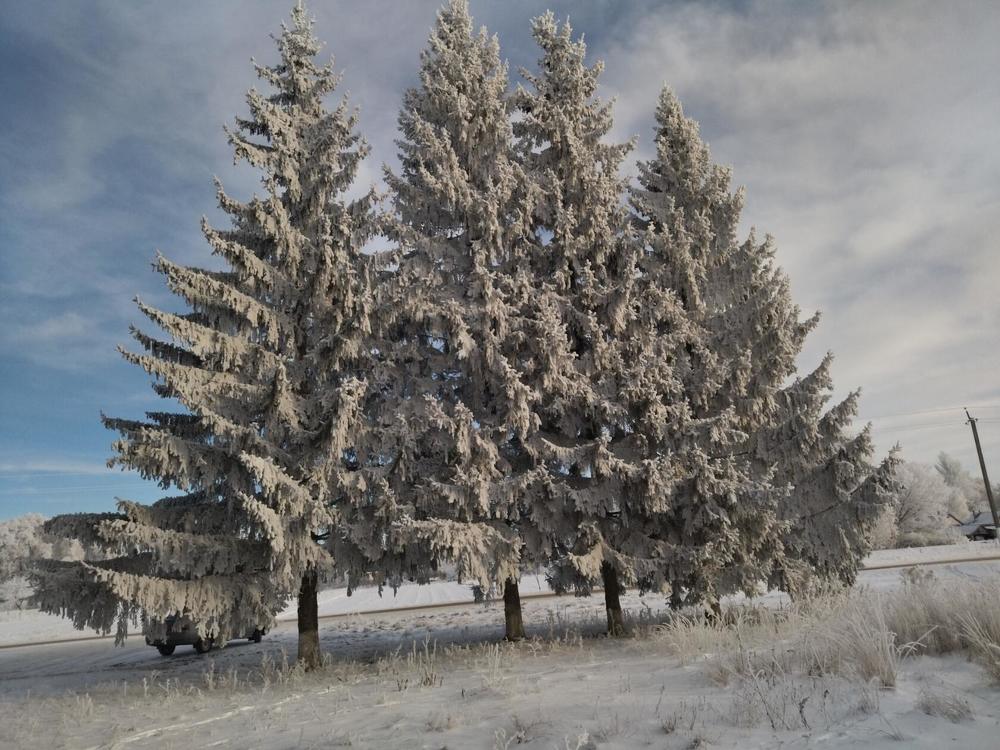 Photograph by Лариса Басова