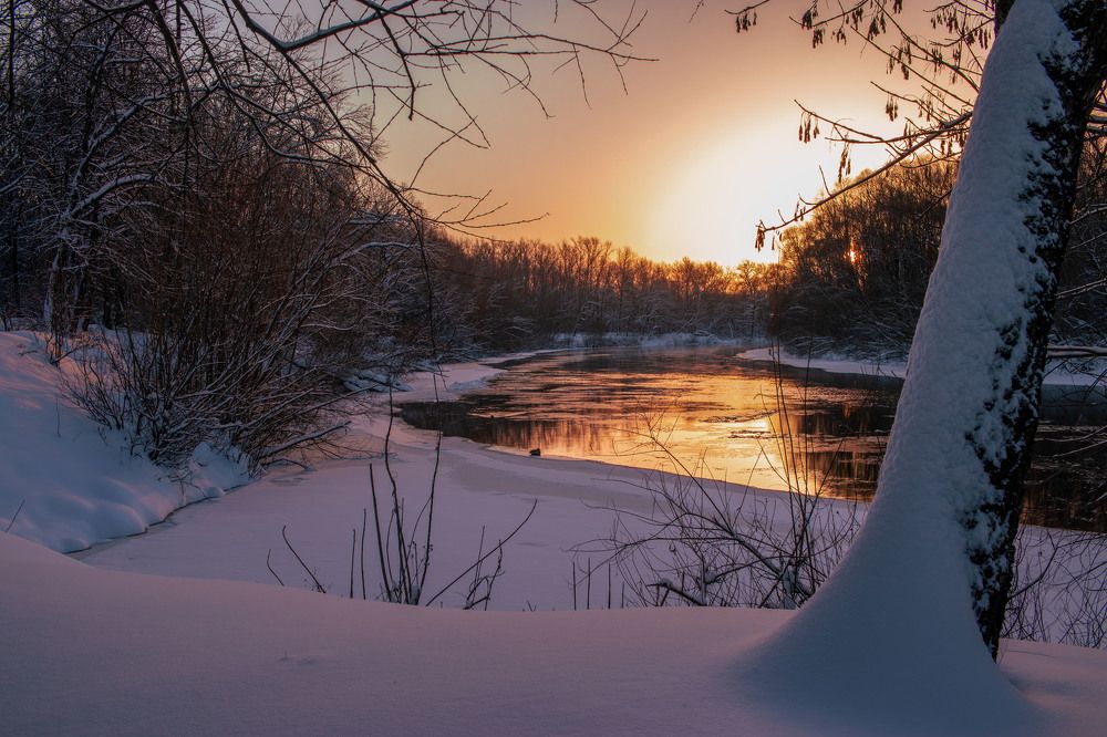 Photograph by Викулов Сергей