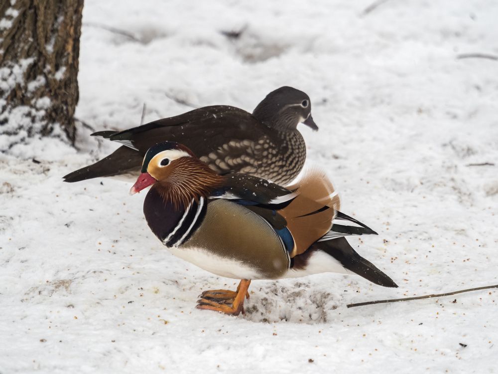 Photograph by Yury Fokin