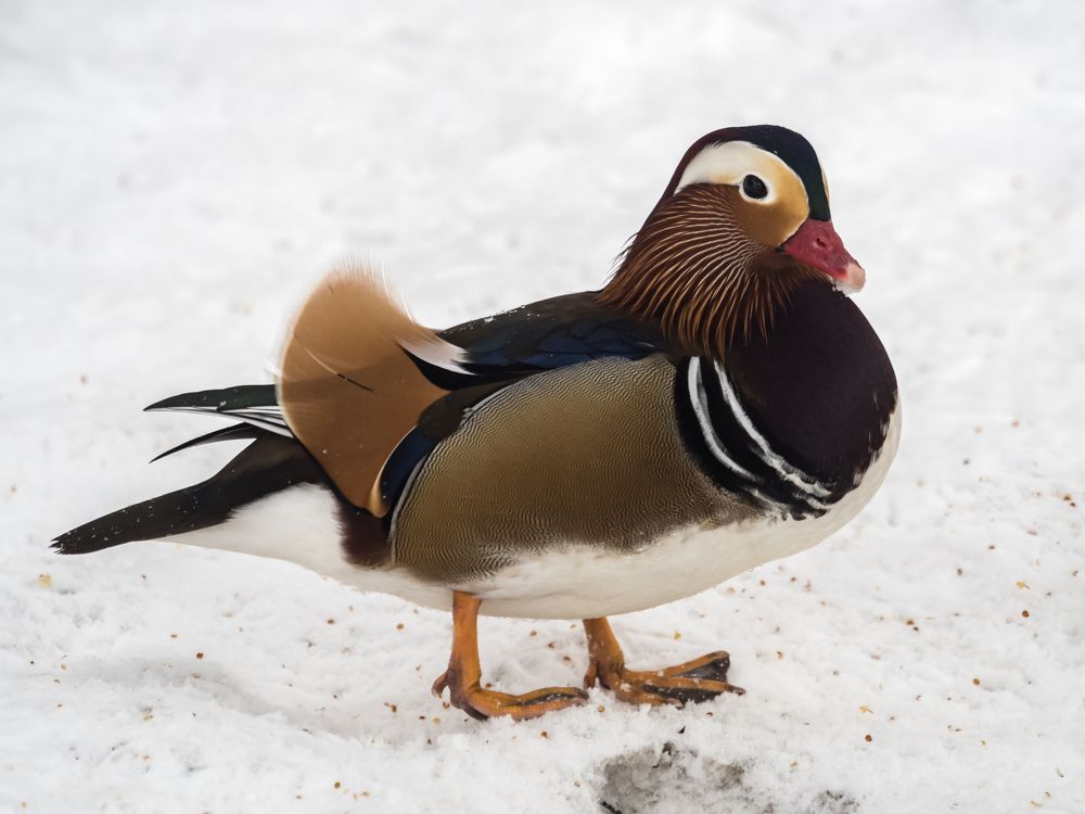 Photograph by Yury Fokin