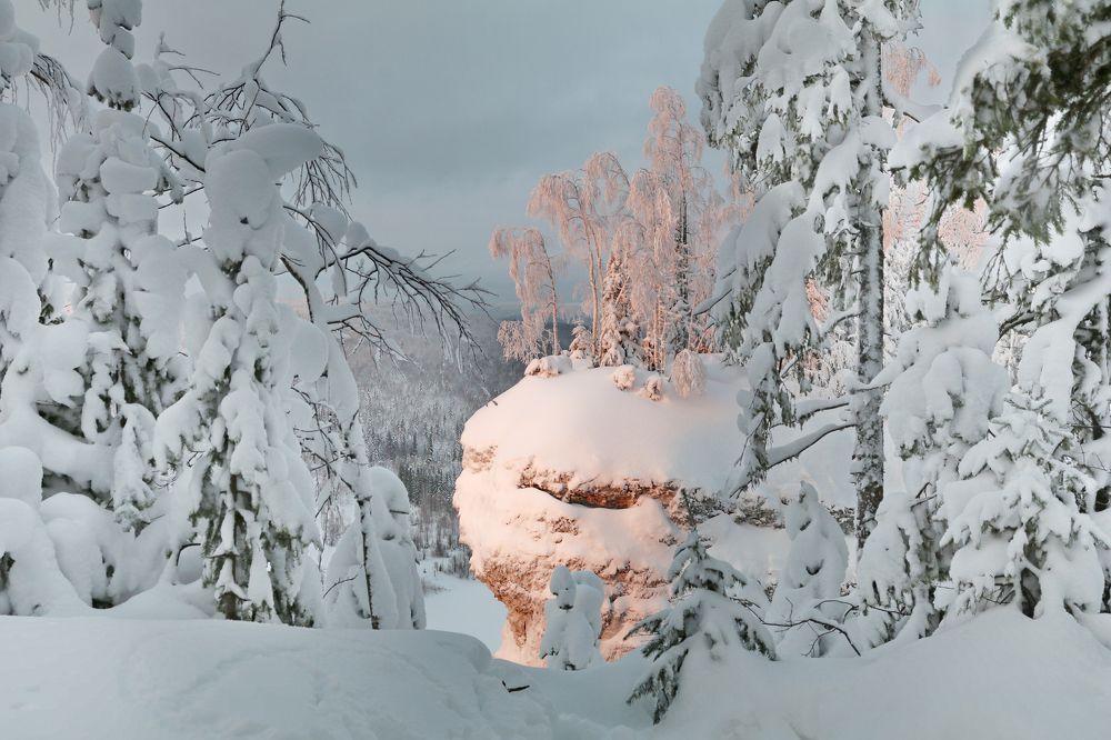 Photograph by Добролюбова Тамара