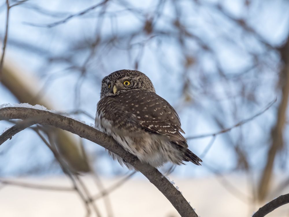 Photograph by Yury Fokin