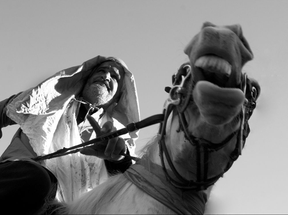 Фотография автора Ghadir Vaghari