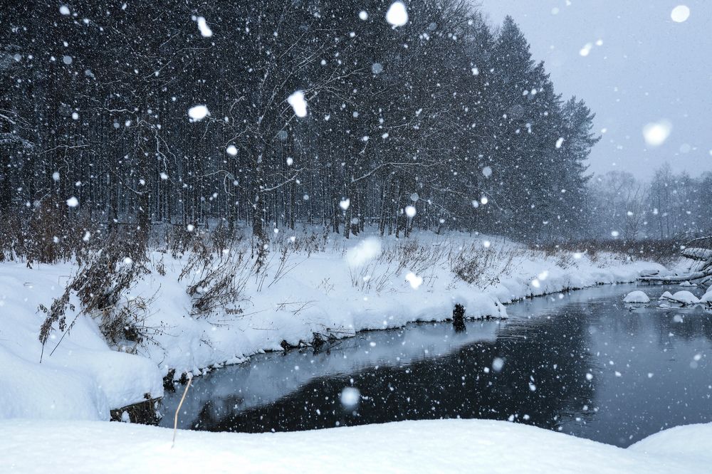 Photograph by Елена Маршавина