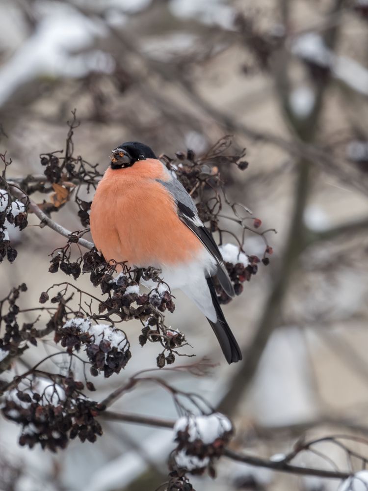 Photograph by Yury Fokin