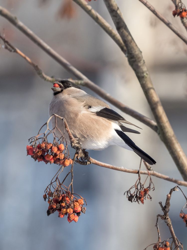 Photograph by Yury Fokin