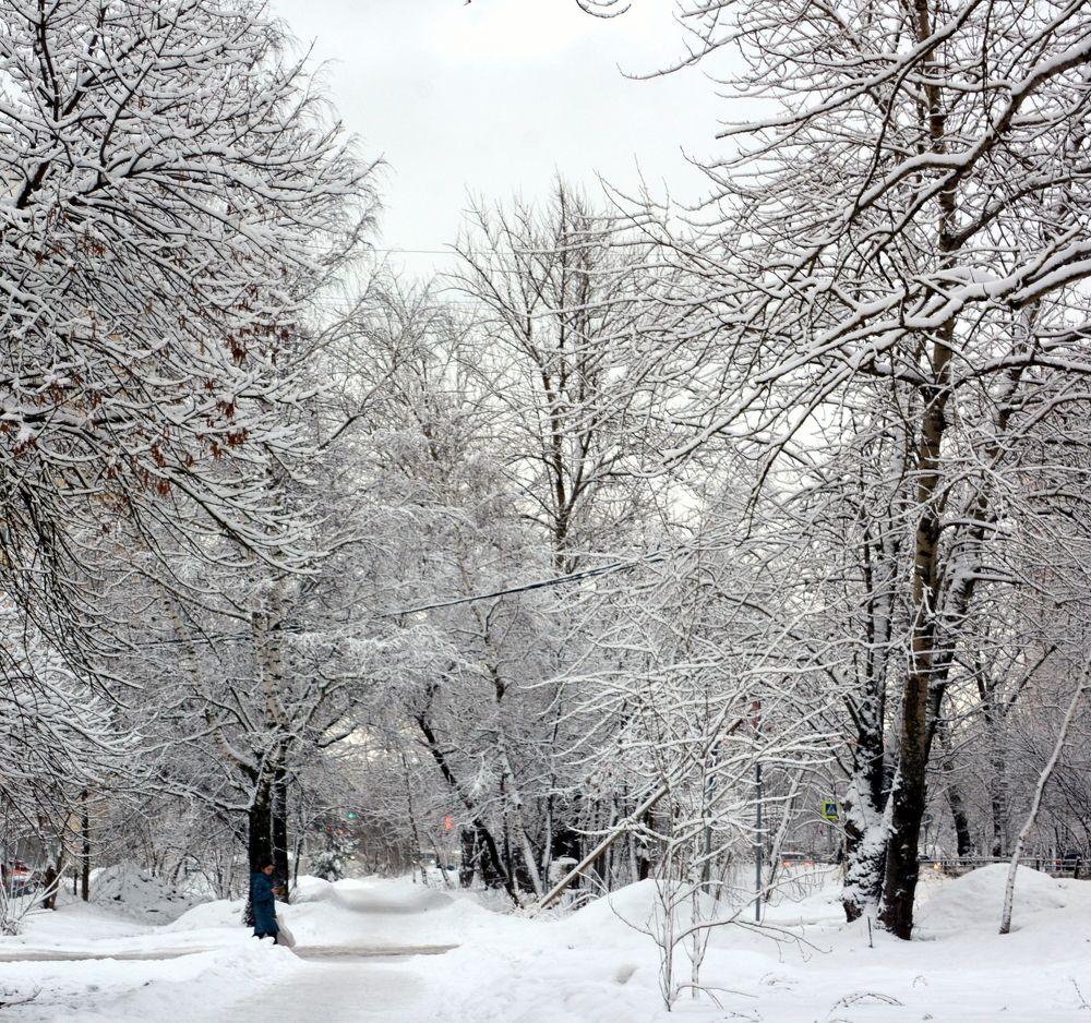 Фотография автора Юрий Рудый