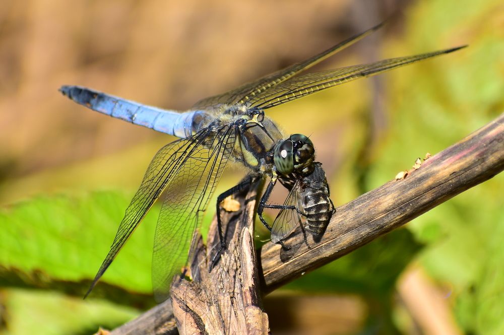 Photograph by Николай Абакумов