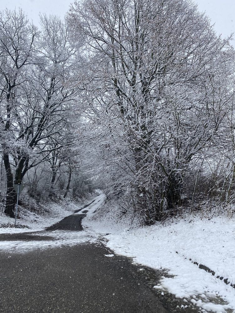 Photograph by Eugenia Schmidt